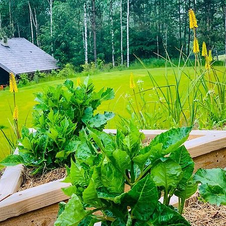 Sliczny Domek Z Sauna Borzestowo Экстерьер фото